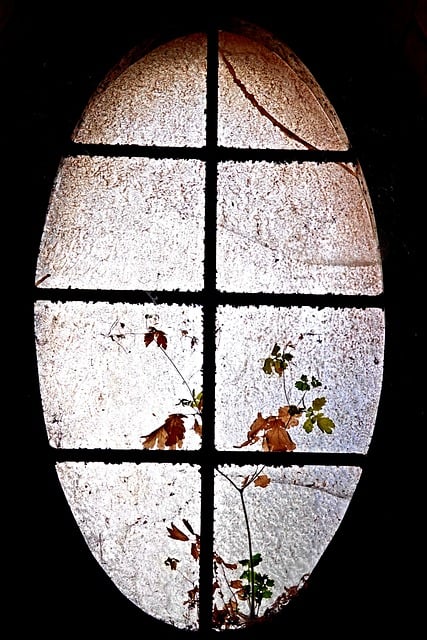 Fenster, Oval, Glas, Blume, Herbst