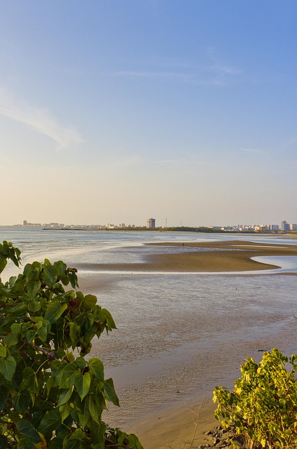 Flod, Mangrove, Strand, Kyst, Skumring