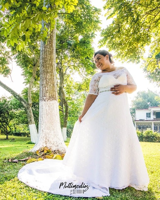 Free Wedding Dress Woman photo and picture