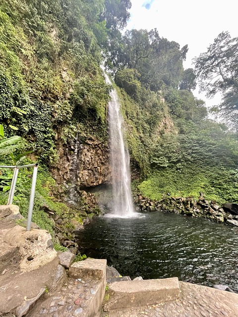 Cascada, Pared De Roca, Follaje