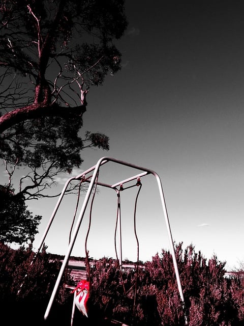 Free Swing Playground photo and picture