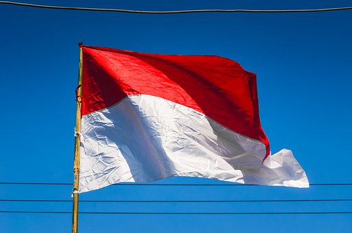 Free Indonesia Flag photo and picture