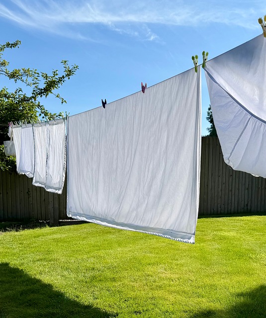 Free Laundry Clothesline photo and picture