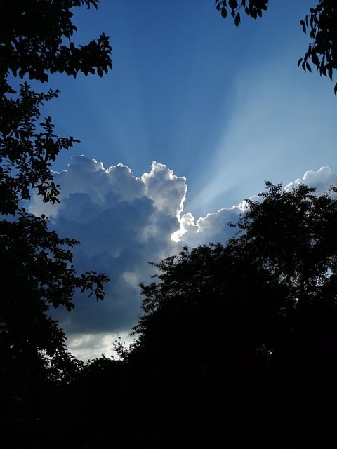 Himmel, Natur, Wolken, Silhouetten