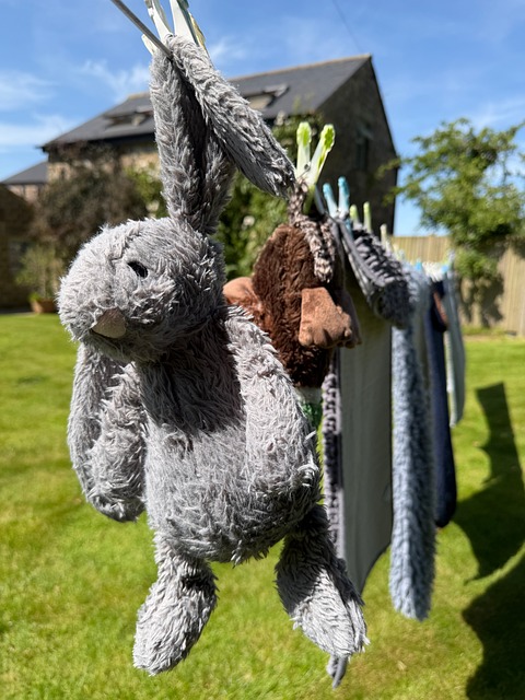 Free Plush Rabbit Dog Toy photo and picture