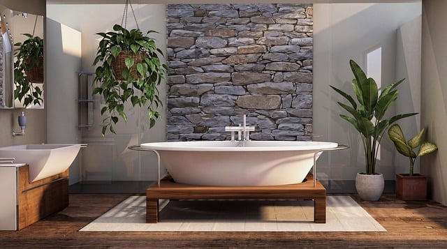 Free bathroom stone bathtub illustration