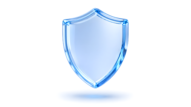 Escudo, Segurança, Proteção, Privacidade