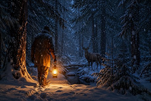 Free Forest Winter photo and picture