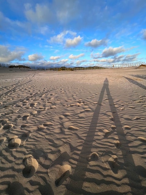 Free Netherlands Beach photo and picture