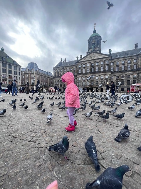 Free Netherlands Amsterdam photo and picture