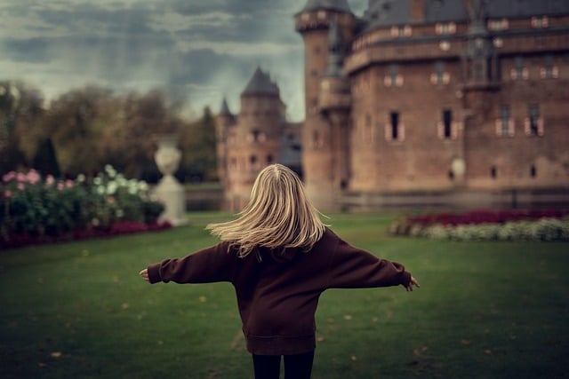 Free Netherlands Castle photo and picture