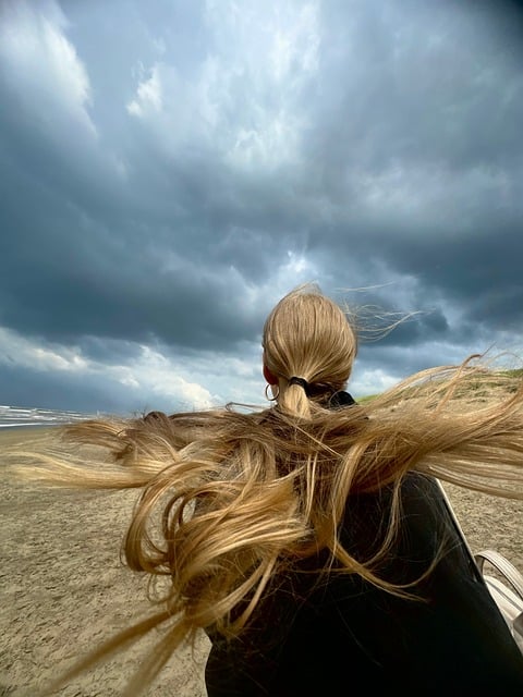 Free Netherlands Coast photo and picture