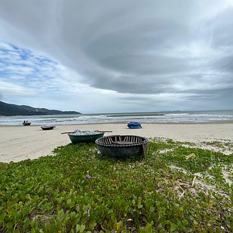 Free Beach Coastline photo and picture