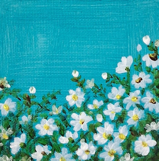 Flores Brancas, Floral, Céu Azul