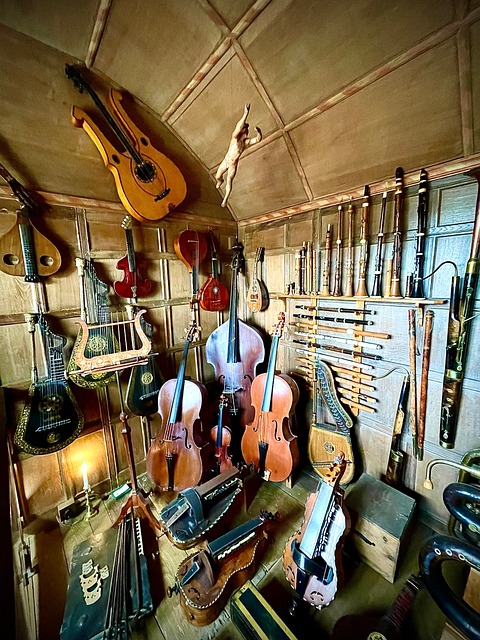Musikinstrument, Strenge, Cello, Guitar