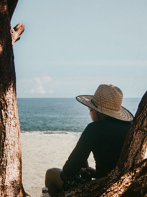 海滩, 海洋, 帽子, 稻草, 假期, 放松, 树, 自然, 旅行, 阴影