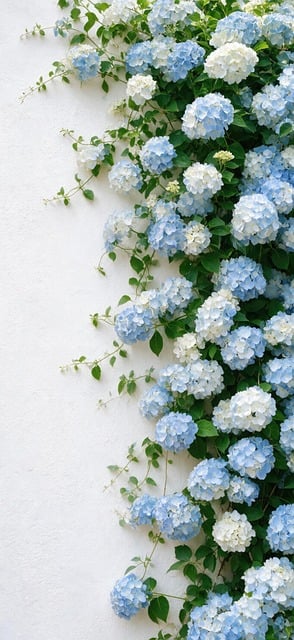 Free flowers hydrangeas blue illustration