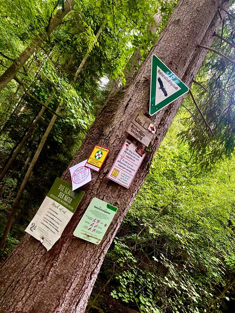 Free Forest Sign photo and picture