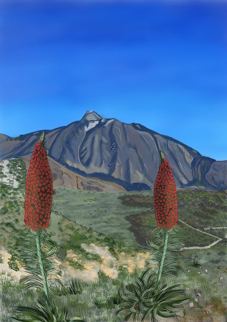 Teide, Tenerife, Natur, Rote Blumen