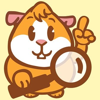 Free Guinea Pig Animal illustration and picture