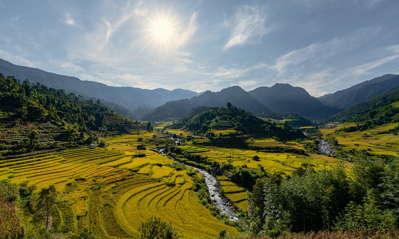 Terraces Rice Fields Sunlight - Free photo on Pixabay
