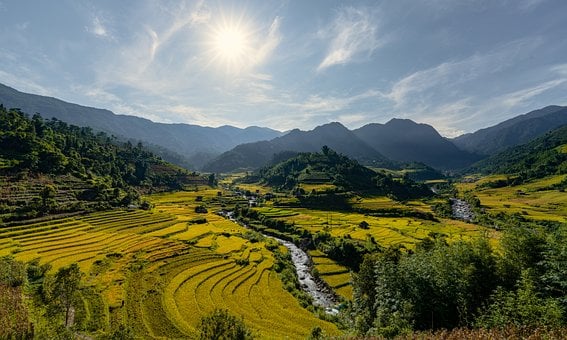 Terrazas, Campos De Arroz, Luz De Sol
