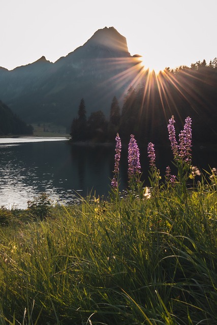 Montañas, Lago, Sol, Puesta De Sol