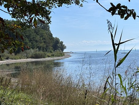 Kyst, Vandoverflade, Natur, Lavt Vand