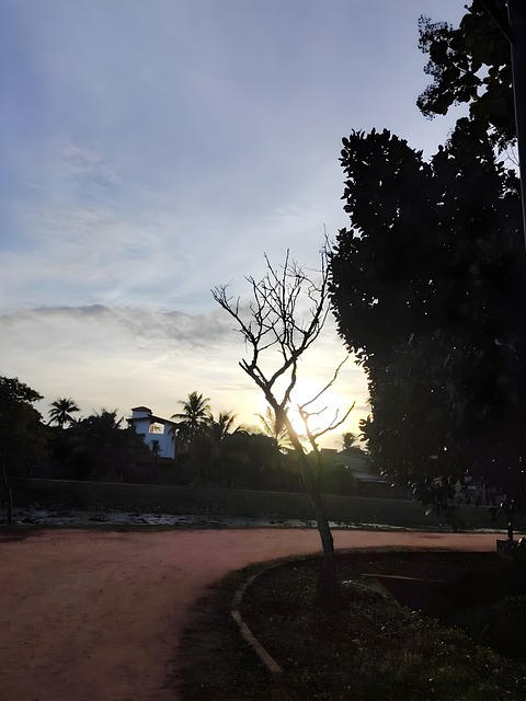 Free Sunset Nature photo and picture