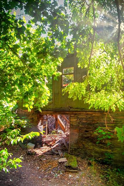 Verlassen, Haus, Ruine, Verfall, Natur