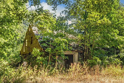 Verlassenes Haus, Ruine, Verfall, Natur