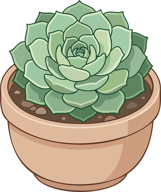 Free succulent plant ceramic pot illustration