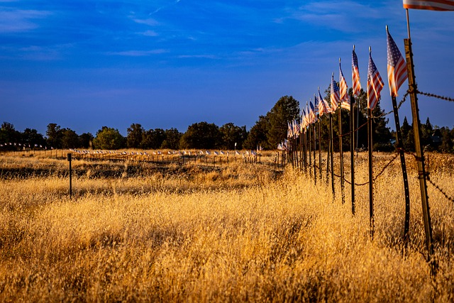 Free Flags Field photo and picture