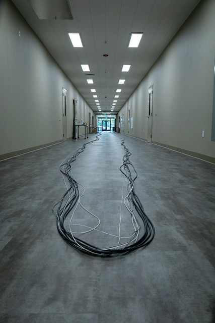 Free Corridor Cables photo and picture