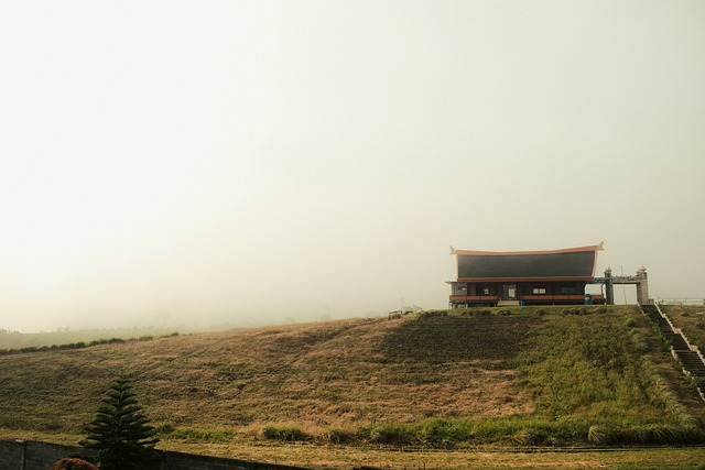 Haus, Nebel, Feld, Gras, Schnappschuss