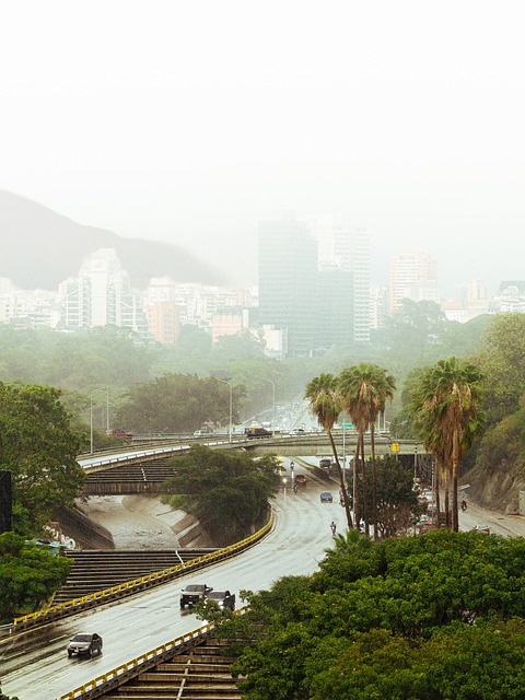 高速公路, 雨, 城市, 城市风光, 交通, 树木, 雾蒙蒙的, 棕榈树, 雨天