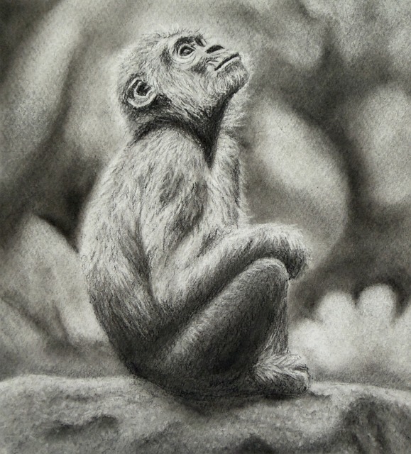 Free Pencil Black And White photo and picture