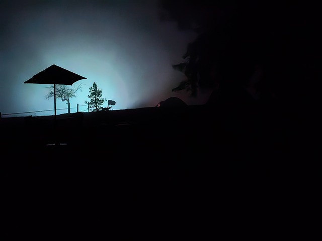 Camping, Natur, Nat, Tåge, Telt, Træ