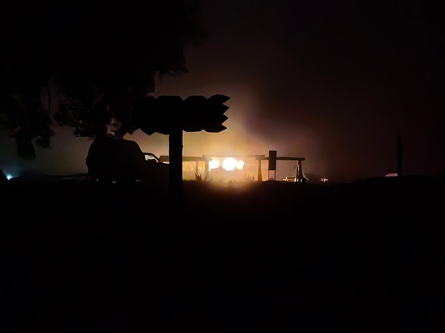 Natte Camping, Skov, Tåge, Telt, Silhuet