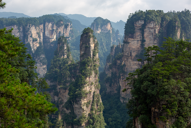 Zhangjiajie, Góry, Las, Skalne Filary