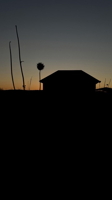 Free Sunset Silhouette photo and picture