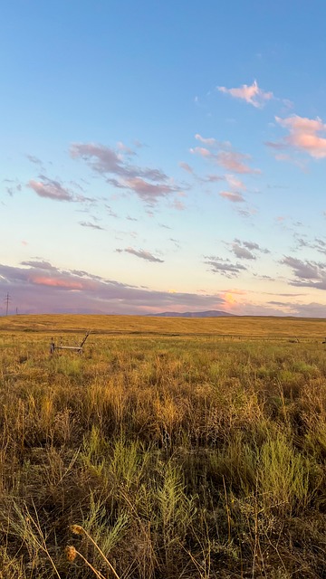Free Steppe Sunset photo and picture