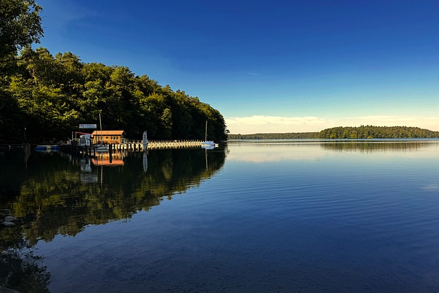 Jezero, Příroda, Klid, Zrcadlení, Strom