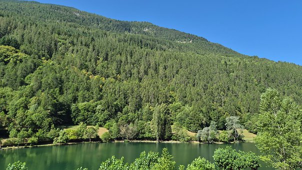 Free Lake Forest photo and picture