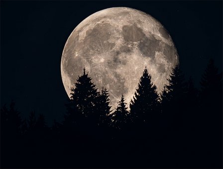 Mond, Wald, Krater, Nachthimmel