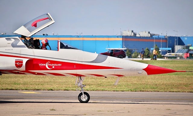 Free Plane Pilot photo and picture