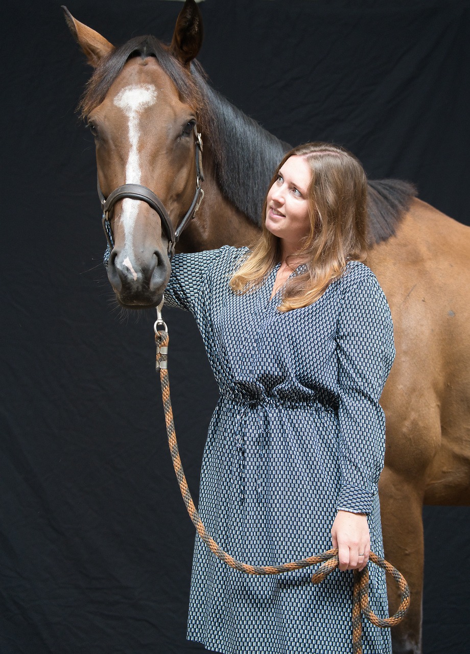 Portrett, Kvinne, Ser, Hest, Menneske