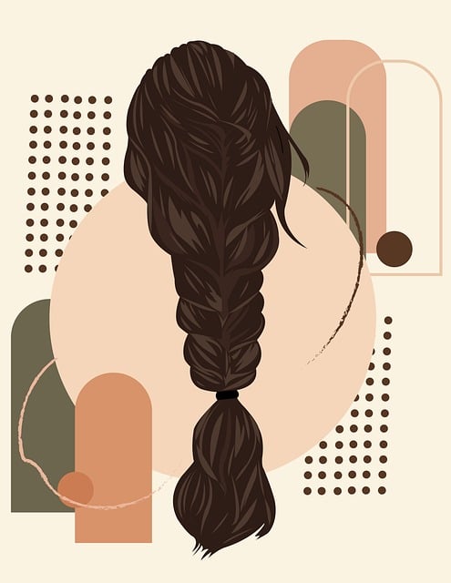 Free Braided Hair Art Illustration photo and picture