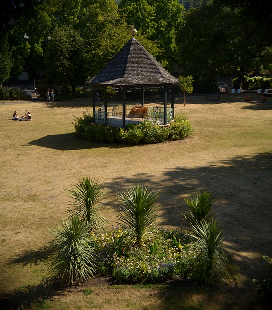 Pavillon, Bänke, Gras, Bäume, Sommer