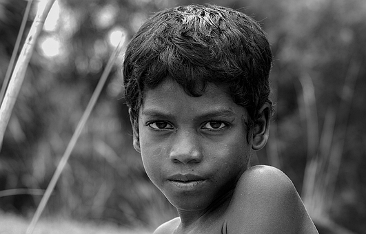 Free Boy Portrait photo and picture